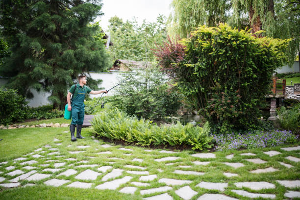 Best Lawn Watering Services  in Ephraim, UT